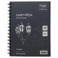 Альбом для графики, 30л., А5, на спирали Гамма "Студия", черный, 140г/м3, 370395 Альбом для графики, 30л., А5, на спирали Гамма "Студия", черный, 140г/м3, 370395
