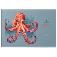 Альбом для рисования 24л., А4, на скрепке Greenwich Line "Octopus", 120г/м2, 8 штук, 367539