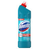 Чистящее средство универсальное Domestos "Свежесть Атлантики", гель, 1л, 144227 Чистящее средство универсальное Domestos