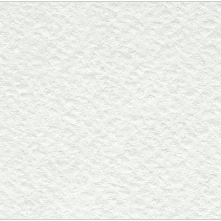 Бумага рисовальная акварельная, А1, ЛенГознак, 610*860, 200г/м2, по 100л., 100 штук, 246257